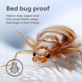 thumbnail image 4 of Funda de colchón HOSPITOLOGY PRODUCTS Sleep Defense Twin, 4 of 8