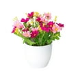 thumbnail image 1 of JJKBVCLO Orchidée Réaliste Véritable Fausse Maison Intérieur Extérieur Centre de Table de Jardin, 1 of 5