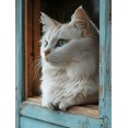 thumbnail image 1 of Qisvanset Framed Canvas Wall Art 12x16 Inch Rustic Window White Cat Farmhouse Pet Lover Art, 1 of 5