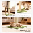thumbnail image 4 of NiamVelo 22'' Cat Scratching Post Kitten Scratcher Sisal Cat Scratcher Scratch Posts with Hanging Balls for Kittens or Smaller Cats ( Green ), 4 of 7