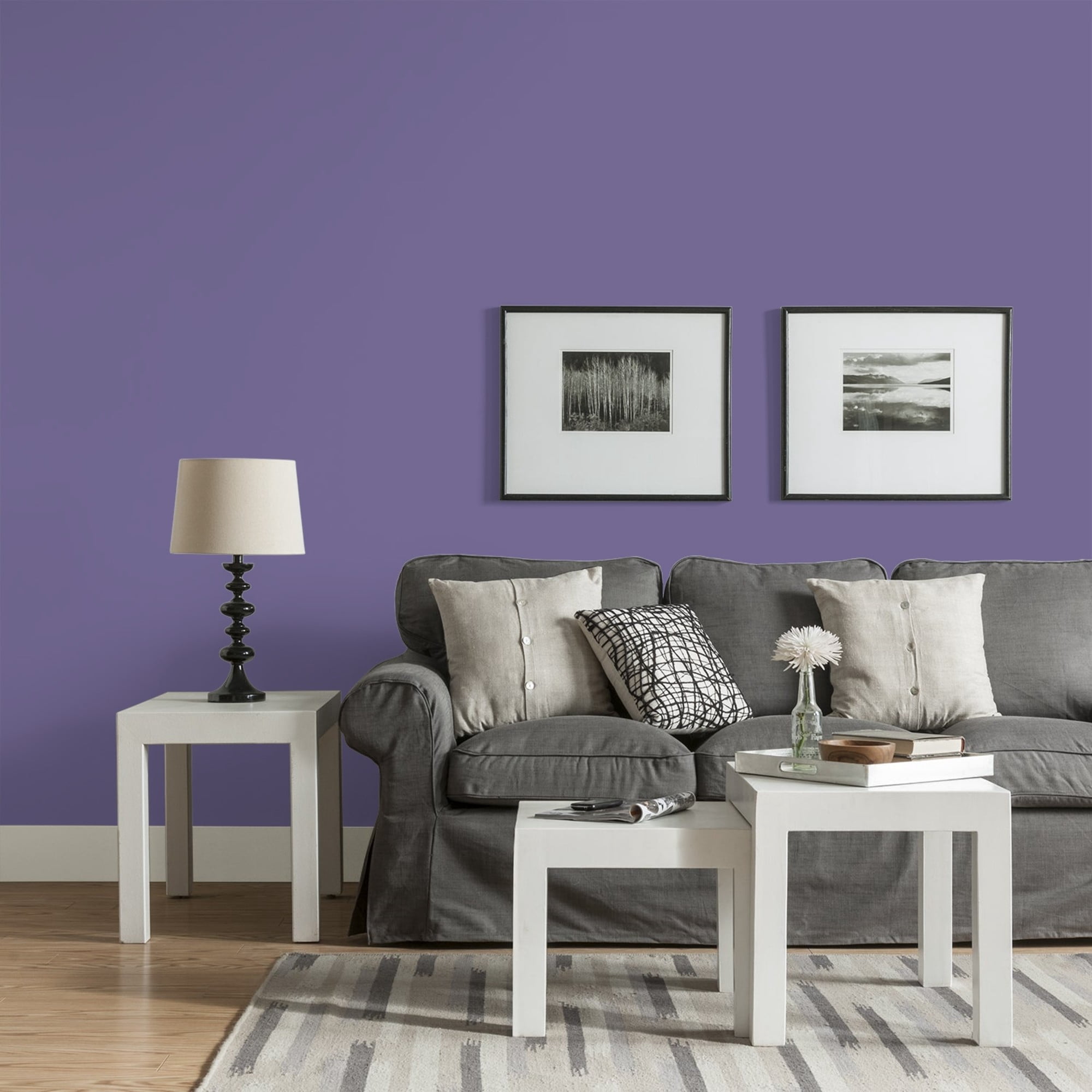 Glidden Fundamentals Purple Grapes Eggshell Interior Paint and Primer, 1 Gallon