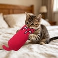 thumbnail image 1 of Catnip Cat Toy for Indoor Cats and Kittens – Soft Lightweight Small Toy with Real Catnip, Variety of Shapes, Perfect for Batting, Tossing and Carrying, 1 of 7