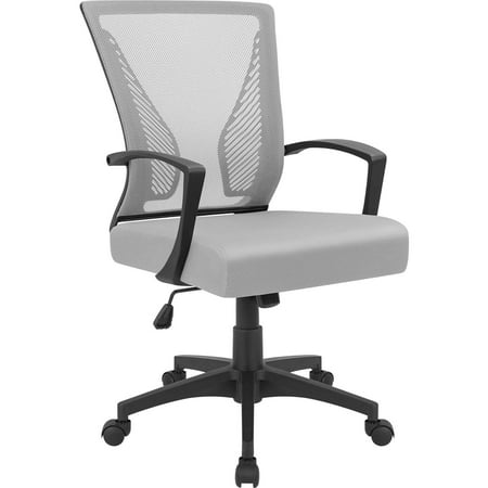 Lacoo Mid-Back Office Desk Chair Ergonomic Mesh Task Chair with Lumbar Support, Gray