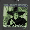 thumbnail image 2 of The Wizard of Oz Wicked Witch Unisex Adult Pull-Over Heather Hoodie, Black Heather, X-Large, 2 of 4