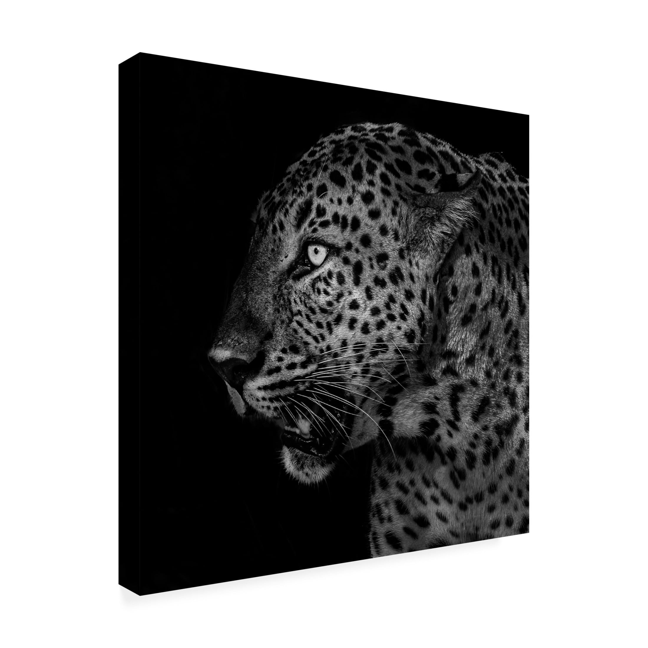 Trademark Fine Art Liwen Tao Untitled Canvas Wall Art