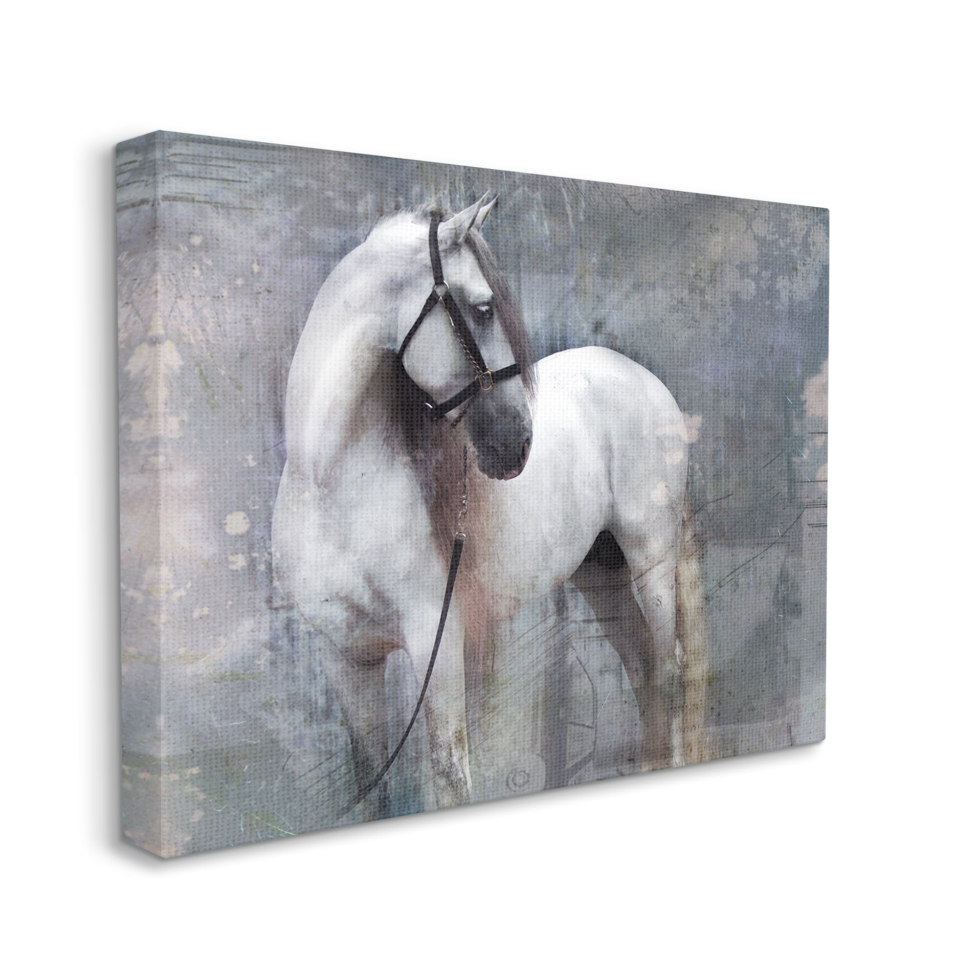 Stupell Industries Abstract Grey Horse Stallion Animals & Insects Painting Gallery Wrapped Canvas Print Wall Art