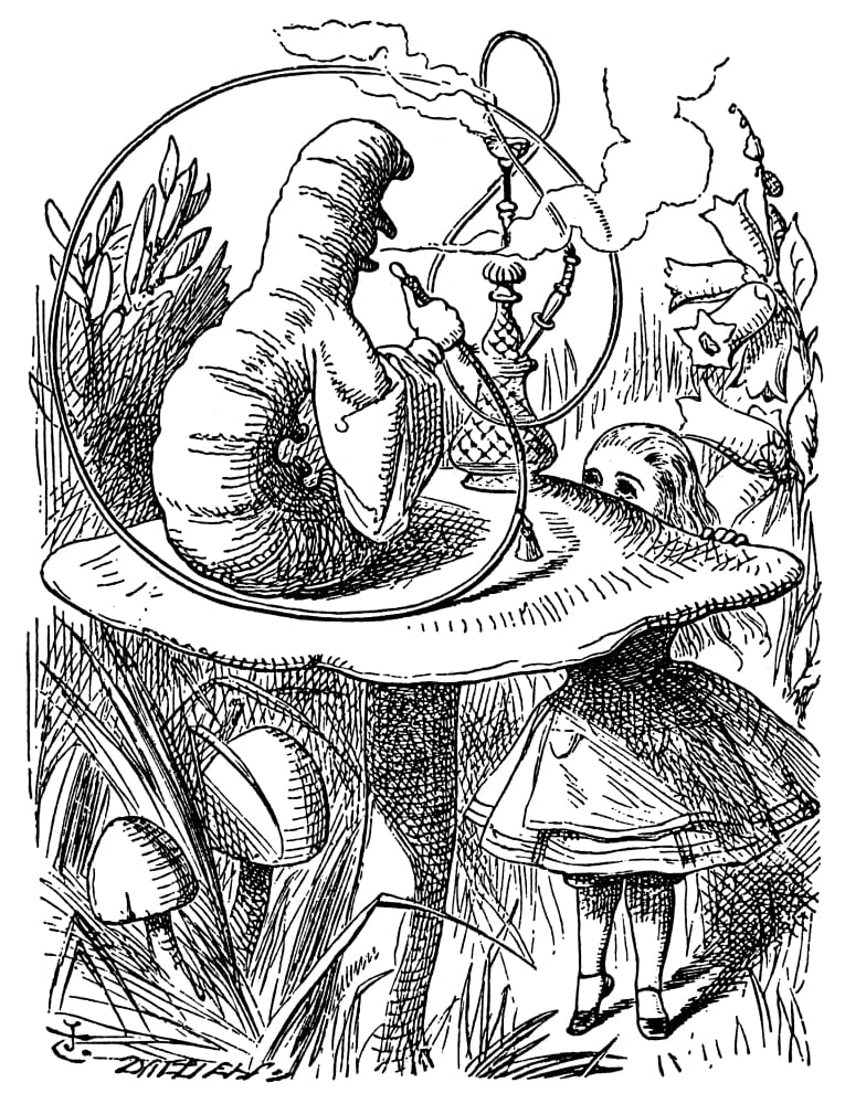 Alice In Wonderland 1865 Nadvice From A Caterpillar Illustration By Sir