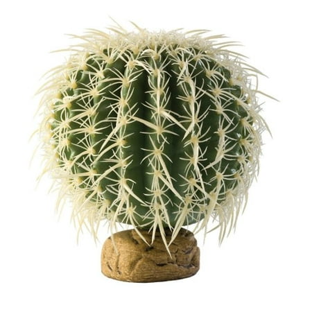 Barrel Cactus Seeds - Exo-Terra Plant Medium, Barrel Cactus