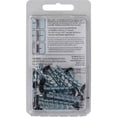 thumbnail image 2 of Borefast 5037084 0.18 x 1.5 in. Steel Pan Head Screw & Anchor, Black - 25 Piece - Pack of 5, 2 of 2