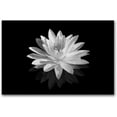 thumbnail image 2 of Lotus Flower Canvas Wall Art Black and White Floral Painting Print Zen Pictures Bathroom Decor Frame Ready to Hang (Black and White Lotus Flower - 4, 8"x10"(20x25cm)), 2 of 6