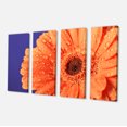 thumbnail image 2 of Orange Daisy On Purple Background - Floral Canvas Art Print, 2 of 3