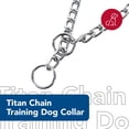 thumbnail image 2 of Collar para perro Coastal Pet Titan Chain, 4 mm x 71 cm, cromado, 2 of 7