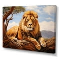 thumbnail image 2 of Designart "Lion Savannah Oil II" Animals Canvas Wall Art, 2 of 5