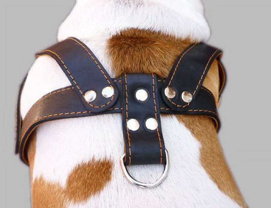 Black Leather Dog Harness, Large. 28'-34' Chest, 1.5' Wide Straps, Rottweiler Bulldog