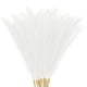 thumbnail image 1 of Uxcell 20 Paquete de Hierba Pampas Falsa 21.7" para Decoración del Hogar Boda Crema, 1 of 6