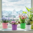 thumbnail image 2 of Artrylin Flower Pots,8Pcs Plastic Pots for Plants, 4.7in Indoor Pots for Plants with Drainage and Tray Saucer, for Flowers Herbs African Violets Succulents Orchid Cactus Indoor Outdoor, Mixed Color, 2 of 7