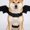 C2133, variant on Halloween Dog Costume Accessory, Cute Dog Decoration Outfit, Black Strap Design Pet Holiday Decor, Funny Festival Prop, Creative Indoor Outdoor Display Item for Party