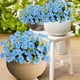 thumbnail image 5 of Eoozwa 2 Packs Artificial Flowers 7-Head Bouquet Realistic Silk Floral Stems for Home Decor Wedding Centerpieces and Outdoor Garden Photography Props Long-Lasting Spring Collection, 5 of 6