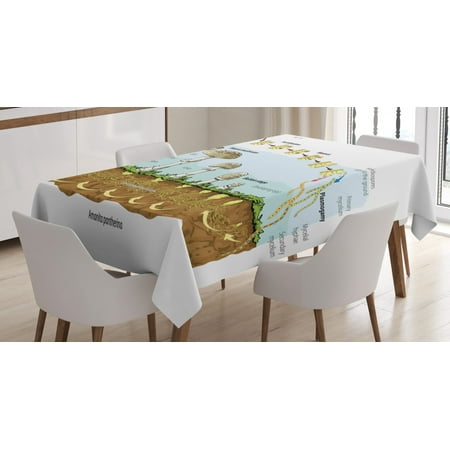 

Ambesonne Biology Tablecloth Rectangular Table Cover Life Cycle of Mushrooms 52 x70 Multicolor