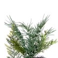 thumbnail image 4 of Vickerman 24" Artificial Mixed Fern Cedar Wreath, 4 of 6