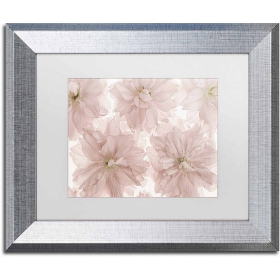 Trademark Fine Art 'Prunus Blossom' Canvas Art by Cora Niele, White Matte, Silver Frame