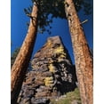 thumbnail image 2 of Terrill, Steve 20x24 Black Ornate Wood Framed with Double Matting Museum Art Print Titled - OR, Gearhart Mountain Trees frame rock formation, 2 of 4