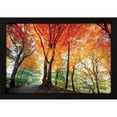 thumbnail image 2 of Lars Van de Goor 24x17 Black Modern Wood Framed Wall Art Titled - Prism of Light, 2 of 6