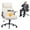 Beige, variant on AFO High-Back Ergonomic Office Chair with Flip-Up Arms and PU Leather,Swivel Computer Desk Chair for Office or Home,Black