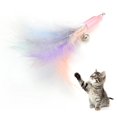thumbnail image 1 of Cat Wand Toy Refill Interactive Cat Teaser Replacement Pet Stick Toy Attachment, 1 of 10