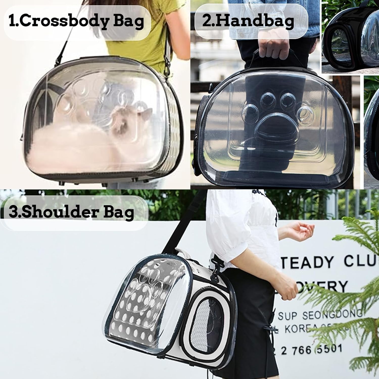 Hard Bag Collapsible Portable Pet Travel Bag for Cats Kitten Puppy