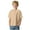 Beige, variant on Toddler Boys' School Uniform Short Sleeve Polo Shirt Blue 130)