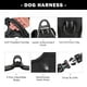 thumbnail image 4 of Arnés para perros PHOEPET, chaleco reflectante ajustable sin tirones, talla L, 4 of 7