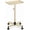 M-champagne Gold, variant on Salon Tray,Hairstylist Trays on Wheels,Hair Color Tray for Salon or Home Use,Pink