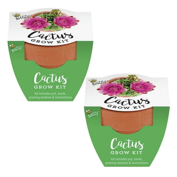 (2) Floral Grow Pot Kit Indoor & Outdoor Seed Starter Grow Kit Cactus Set Includes Pots, Soil Disks Instructions DIY Home Gardening Gifts Favors Parties for Women Men & CUSTOM Storage Carrier