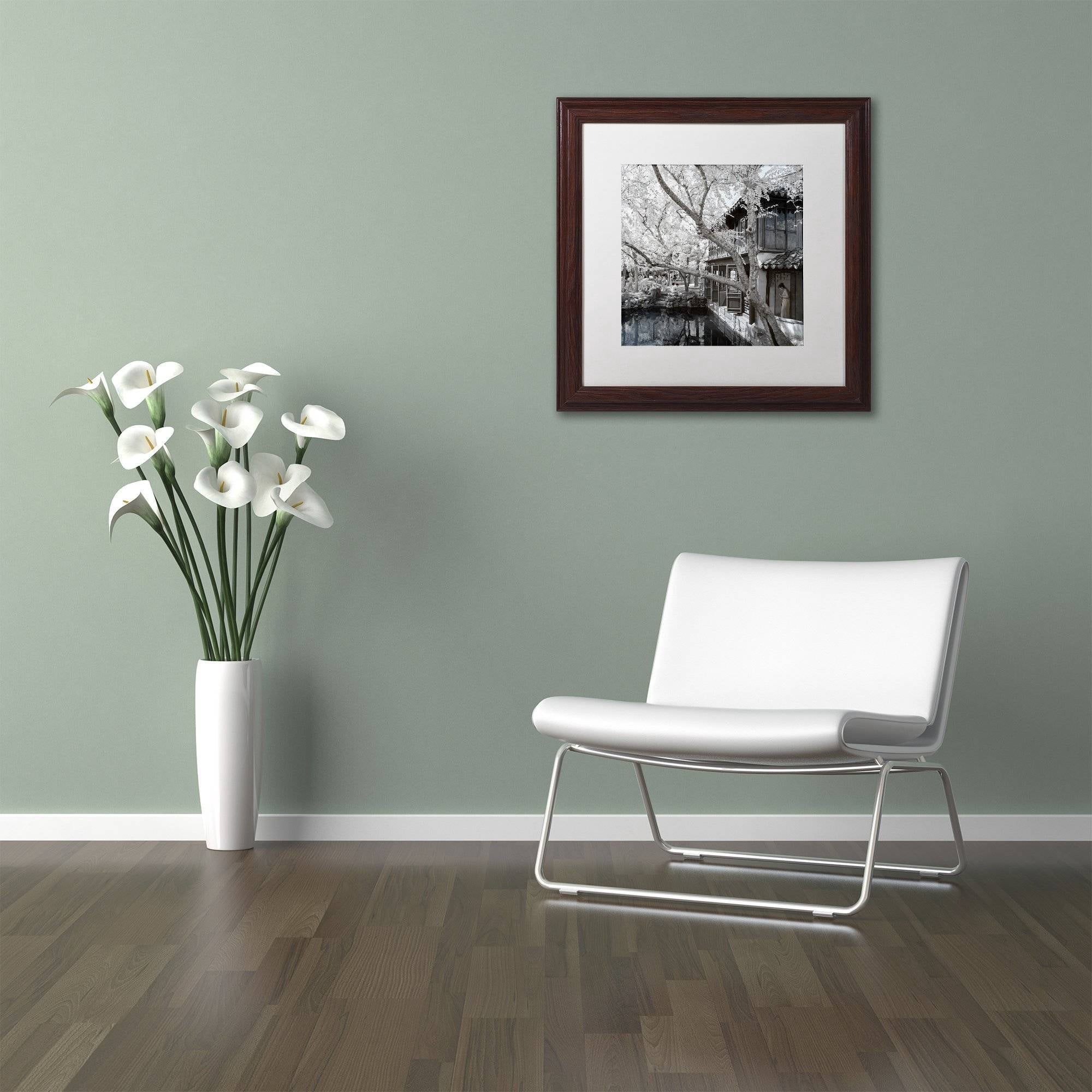 Trademark Fine Art "Reflections" Canvas Art by Philippe Hugonnard, White Matte, Wood Frame