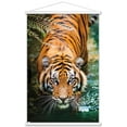 thumbnail image 1 of Tigre - Eau, 1 of 4