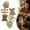 G, variant on Natural Catnip Silvervine Fishbone Cat Chew Sticks, Dental Care Toy, Mixed Flavor 2 Pack