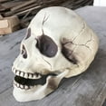 thumbnail image 4 of Creepy Plastic Open Mouth Skull Skeleton Haunted House Decor Halloween Prop White One Size, 4 of 8