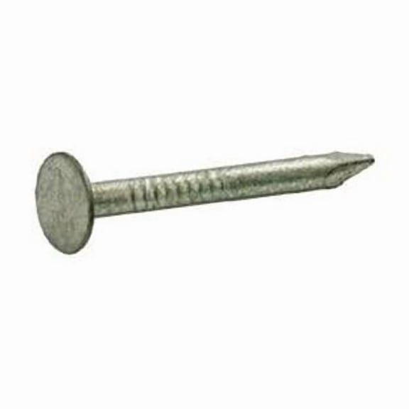 1 lbs 2 in. Roofing Hot-Dipped Galvanized Steel Nail with Smooth Shank Flat - Pack of 12