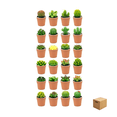 thumbnail image 1 of "24pcs Velas Aromaticas Cactus Verdes Decorativas Con Maceta Belug, Café ", 1 of 5