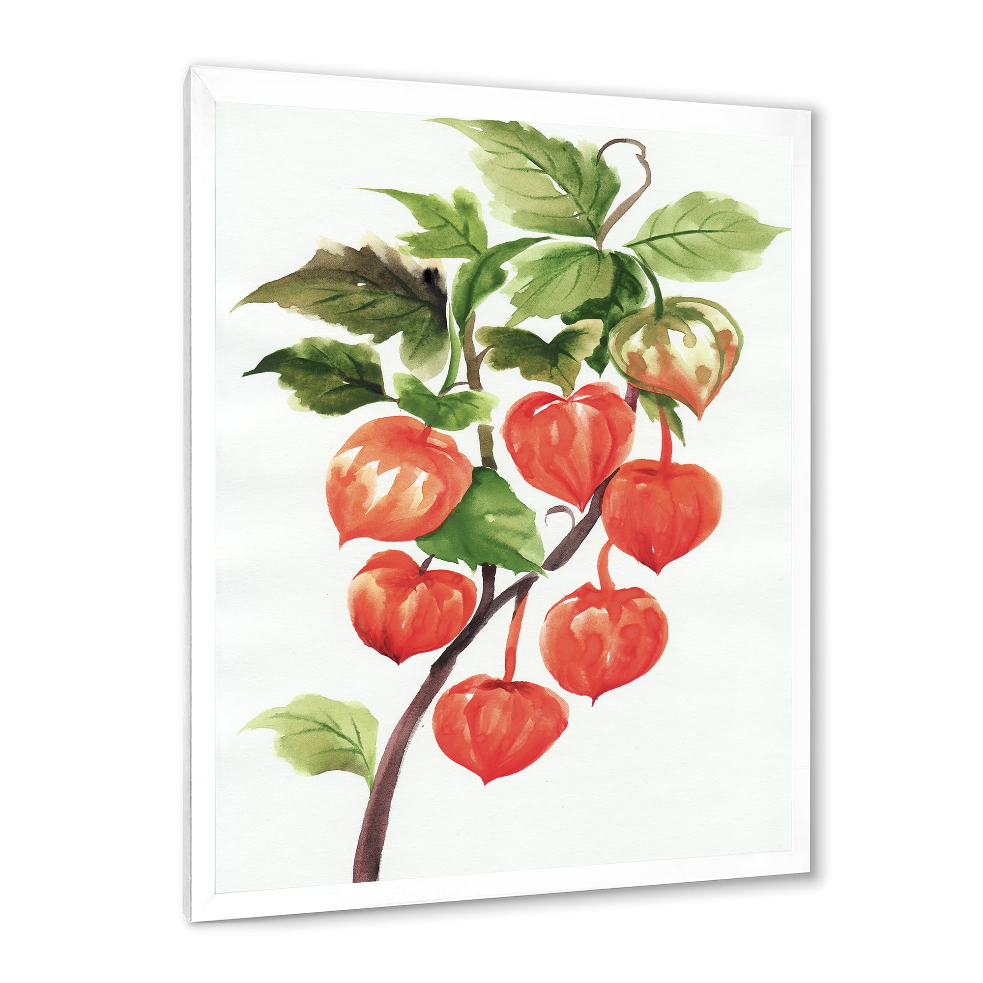 Designart 'A Red Physalis Branch' Traditional Framed Art Print