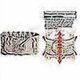 thumbnail image 5 of Lumbar Support Relief Back Pain Lower Back Support Device, 5 of 5
