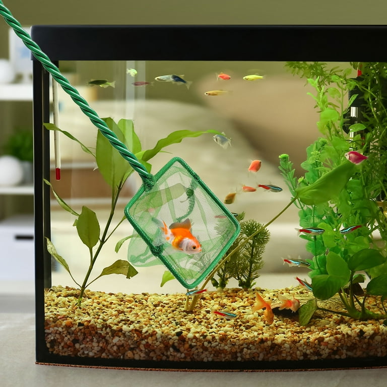 Global Bargains 3" x 2.7" Portable Handle Landing Net Fishing Fish Angler Mesh Aquarium Fish Tank Goldfish Shrimp Global Bargains 3" x 2.7" Portable Handle Landing Net Fishing Fish Angler Mesh Aquarium Fish Tank Goldfish Shrimp