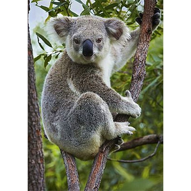 Drill Diamond Painting (DE4349) 5D DIY Full Cute Koala Decoración de punto de cruz (LG052) 50x70cm Hugtrwg Para estrenar