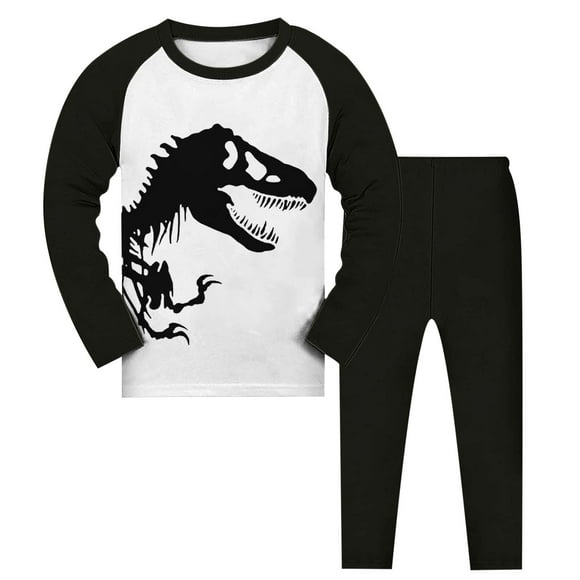XDZJLR Baby Boy Outfits Dinoasur Print Pajamas Long Sleeve Crewneck Leisure Homewear T Shirt And Long Straight Pants Sleepwear for Kids Set 4-5 Years
