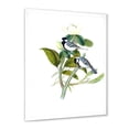 thumbnail image 2 of Designart 'Vintage Countryside Birds On Branch I' Farmhouse Framed Art Print, 2 of 4