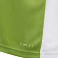 thumbnail image 3 of adidas Boys' Entrada Jersey, Rave Green/White, Medium, 3 of 6