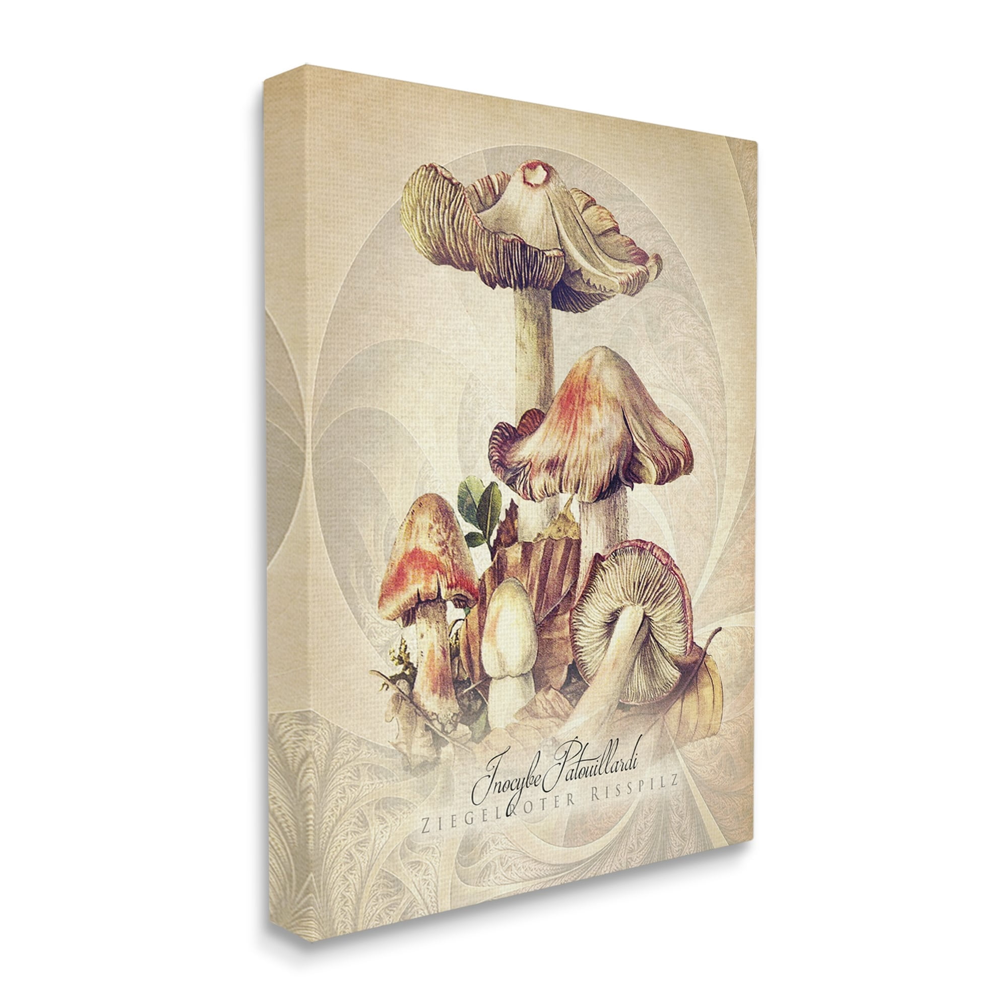 Stupell Industries Vintage Detailed Mushroom Nature Botanical & Floral Painting Gallery Wrapped Canvas Print Wall Art