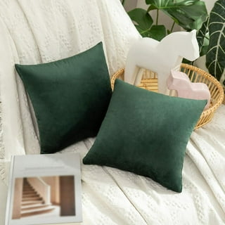 Miulee Mint Green Faux Fur Throw Pillow Cover Decorative New Luxury Series  Style Cushion Case 2 Pack