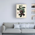thumbnail image 3 of Vision Studio 'Antique Foliage and Fruit I' Canvas Art, 3 of 3